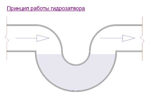 Запах канализации в квартире: определение причины и способы устранения