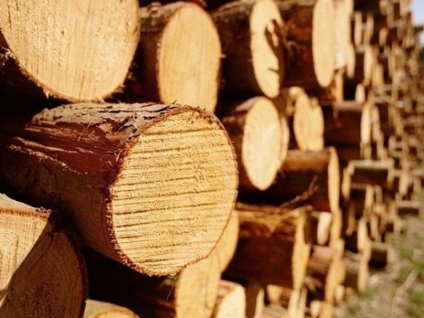 Какие дрова лучше для бани: выбираем, чем лучше топить печь в бане