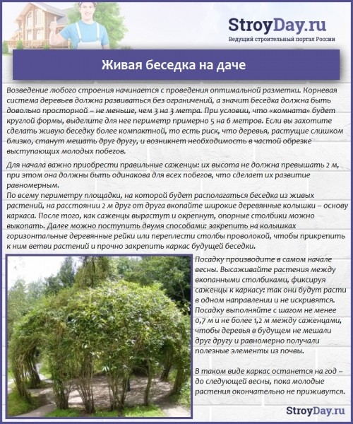 Беседки для дачи своими руками: стальные, деревянные, каменные