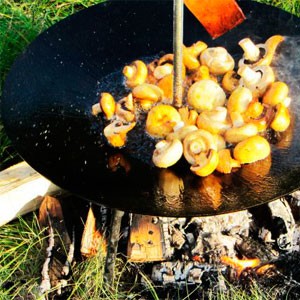 Сковорода из диска бороны