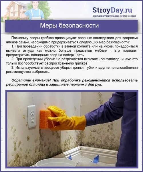 Чем опасна черная плесень в доме для организма человека и как от неё избавиться?