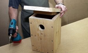 Скворечник для птиц своими руками: схемы и пошаговые фото инструкции