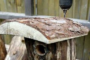 Скворечник для птиц своими руками: схемы и пошаговые фото инструкции