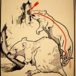 Какой ток опаснее постоянный или переменный: выясняем какой ток является опасным для жизни человека Какой ток опаснее постоянный или переменный: выясняем какой ток является опасным для жизни человека