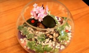 Флорариум &mdash; что это и как его сделать своими руками