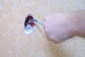 Как подключить розетку: подключаем правильно провода к розетке по схеме