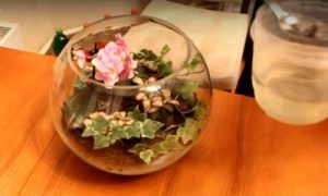 Флорариум &mdash; что это и как его сделать своими руками