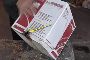 Дымогенератор для холодного копчения своими руками: устройство и чертежи доступных вариантов