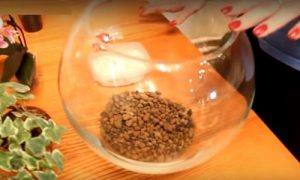 Флорариум &mdash; что это и как его сделать своими руками
