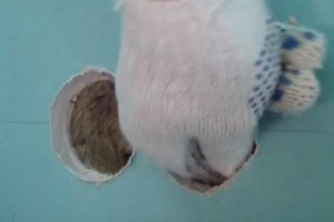 Как подключить розетку: подключаем правильно провода к розетке по схеме