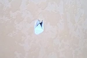 Как подключить розетку: подключаем правильно провода к розетке по схеме