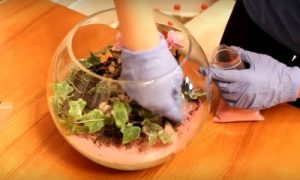 Флорариум &mdash; что это и как его сделать своими руками