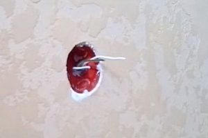 Как подключить розетку: подключаем правильно провода к розетке по схеме