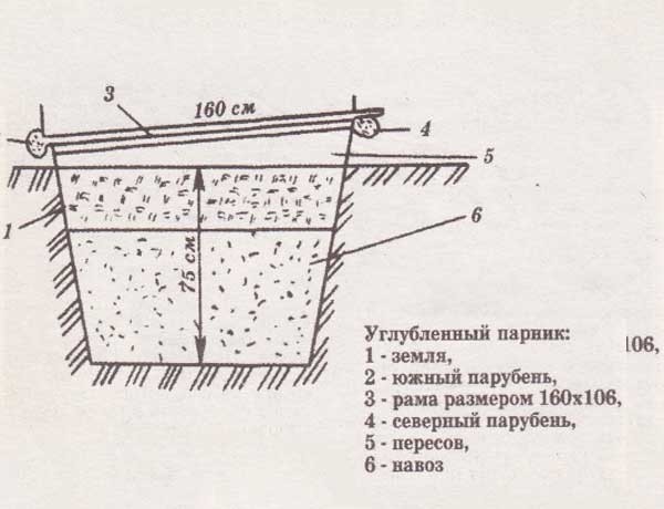 Как сделать парник из оконных рам Как сделать парник из оконных рам