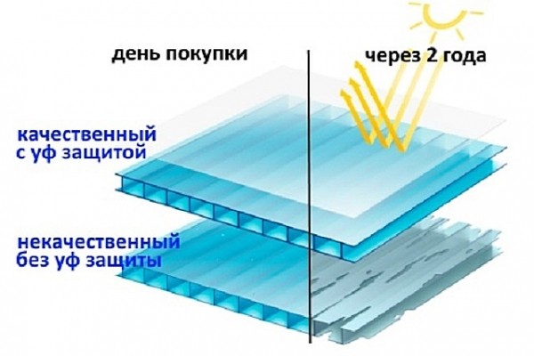 Какой поликарбонат выбрать для навеса: виды и особенности