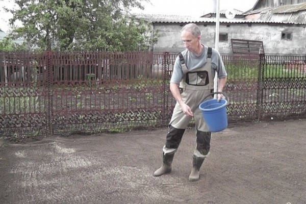 Газон своими руками: виды и пошаговая инструкция по посадке