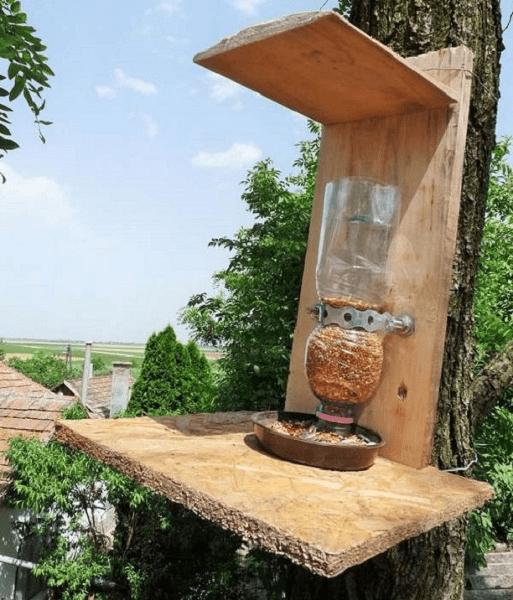 Как сделать кормушки для птиц из бутылки: 1, 2, 5-литровой, фото
