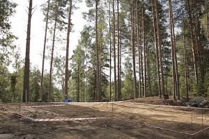 УШП фундамент технология: видео-пример возведения фундамента своими руками