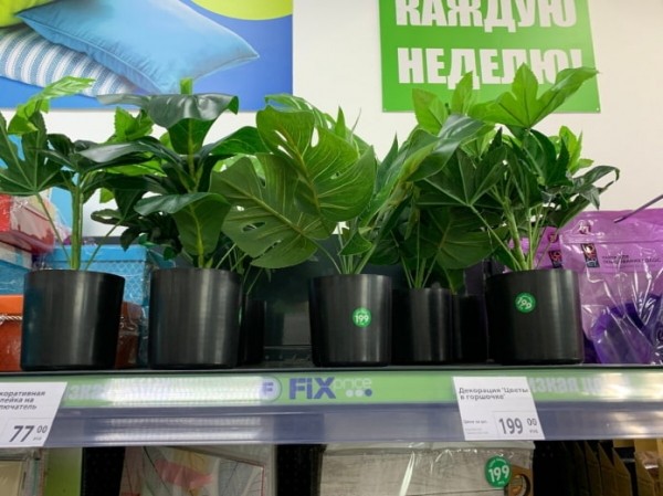 Что не стоит покупать в Фикс Прайс? Что не стоит покупать в Фикс Прайс?