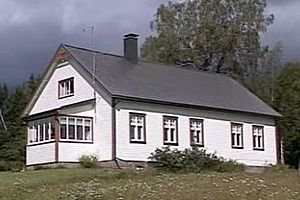 Покраска фасада дома: виды материала, инструкции Покраска фасада дома: виды материала, инструкции