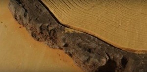 Как сделать тротуарную плитку в домашних условиях: пошаговая инструкция