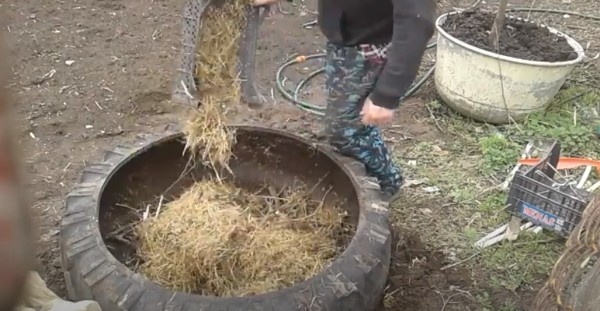 Как сделать парник из покрышки Как сделать парник из покрышки