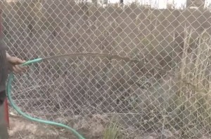 Ручной насос для воды из скважины: обзор моделей и цена