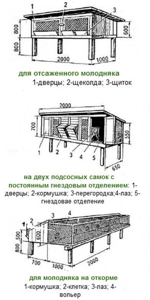 Клетки для кроликов фото и чертежи Клетки для кроликов фото и чертежи