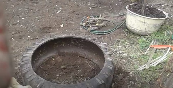Как сделать парник из покрышки Как сделать парник из покрышки