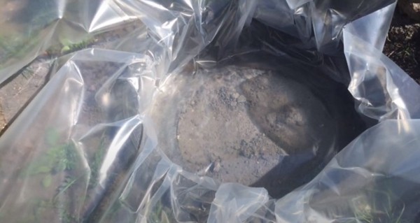 Прудик из покрышки: мини-водоем на даче своими руками Прудик из покрышки: мини-водоем на даче своими руками