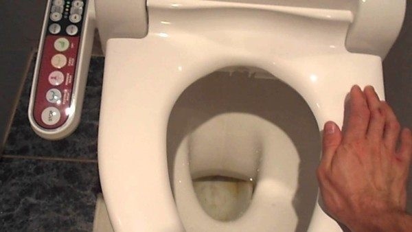 Как снять крышку унитаза и заменить ее на новую: обзор технологии ремонта сидения, а также советы по выбору и покупке данного изделия Как снять крышку унитаза и заменить ее на новую: обзор технологии ремонта сидения, а также советы по выбору и покупке данного изделия