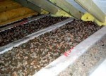 Утеплитель для крыши: какой выбрать – лучшие варианты Утеплитель для крыши: какой выбрать – лучшие варианты