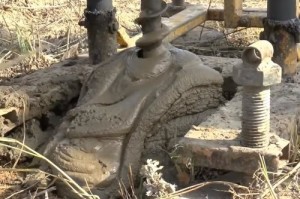 Ручной насос для воды из скважины: обзор моделей и цена