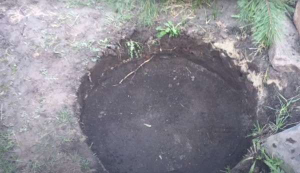 Прудик из покрышки: мини-водоем на даче своими руками Прудик из покрышки: мини-водоем на даче своими руками