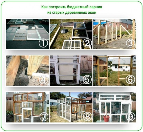 Теплица из старых оконных рам самостоятельно: пошаговая инструкция