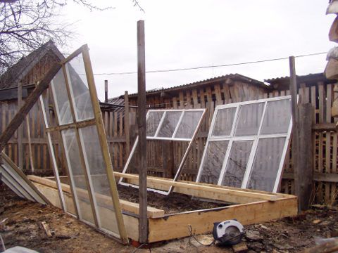 Теплица из старых оконных рам самостоятельно: пошаговая инструкция