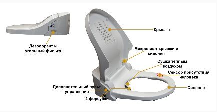 Стульчак для унитаза: как сделать поход в туалет максимально комфортным