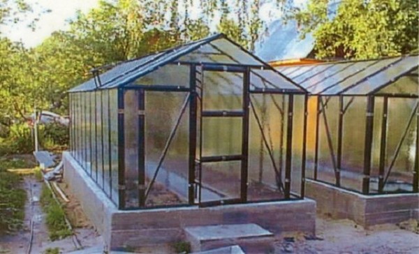 Как сделать парник своими руками: ТОП-3 способа изготовления из труб, из поликарбоната, а также подручных домашних средств