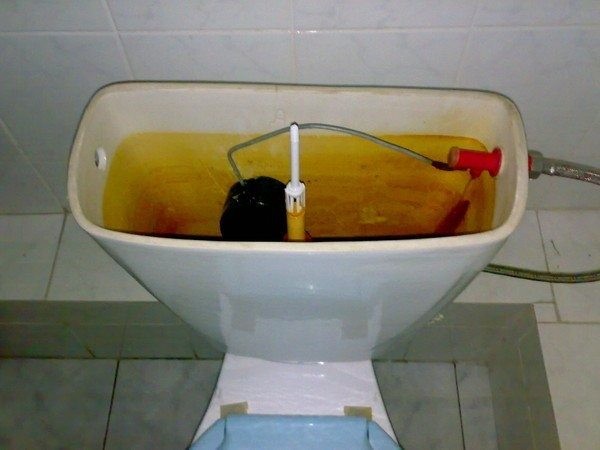 Что нужно сделать, когда подтекает унитаз