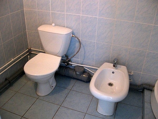 Чистящее средство для унитаза и другие полезные мелочи: что нужно для ухода за санузлом Чистящее средство для унитаза и другие полезные мелочи: что нужно для ухода за санузлом