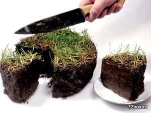Водопровод на участке: все аспекты строительства и некоторые правовые вопросы