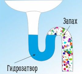 Устройство унитаза: конструкционные и эксплуатационные особенности Устройство унитаза: конструкционные и эксплуатационные особенности