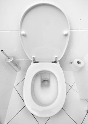 Устройство унитаза: конструкционные и эксплуатационные особенности Устройство унитаза: конструкционные и эксплуатационные особенности