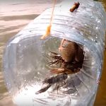 Самодельный вертолёт: фото, видео полёта Самодельный вертолёт: фото, видео полёта