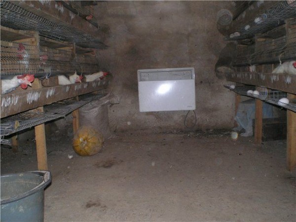 Курятник своими руками: пошаговая инструкция с фото