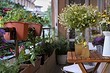 7 суперновинок из ИКЕА, которые вы не догадались бы применить для балкона (а так можно!) 7 суперновинок из ИКЕА, которые вы не догадались бы применить для балкона (а так можно!)