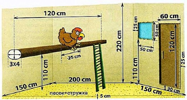 Курятник своими руками: пошаговая инструкция с фото