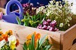 6 классных идей для вашего сада, которые редко применяют в России (присмотритесь!)