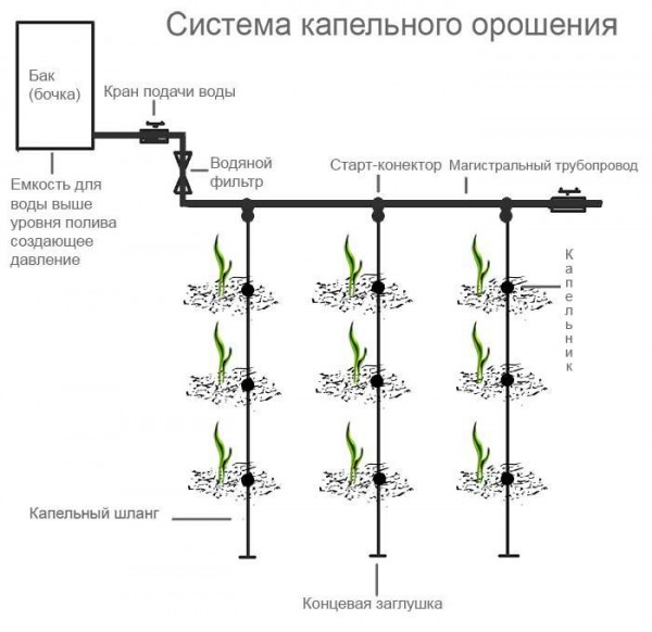 Система полива своими руками: пошаговая инструкция и схемы