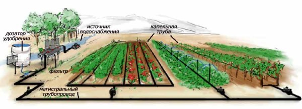 Стационарные, разборные системы труб в саду, методика монтажа, проект и прокладывание